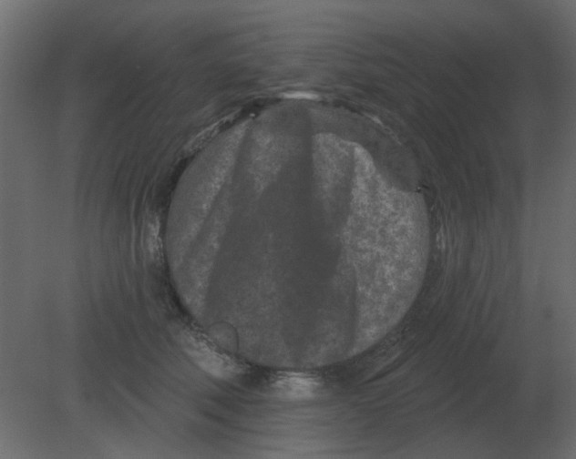 X0000080790610200701122149