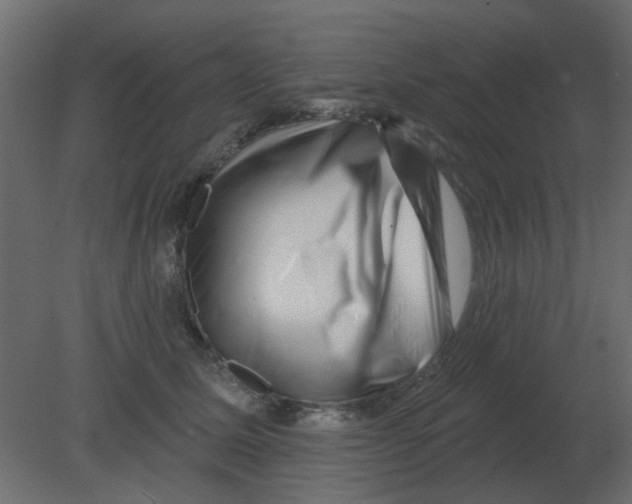 X0000080790611200701122149