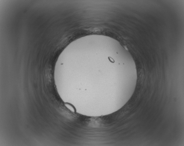 X0000080790612200701122149