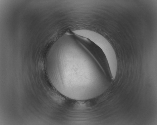 X0000080790613200701122149