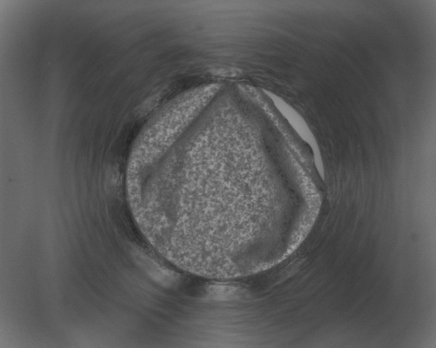 X0000080790614200701122149