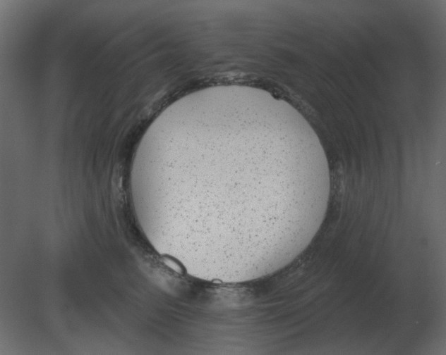 X0000080790615200701122149