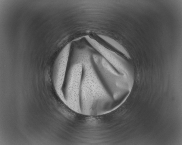 X0000080790616200701122149