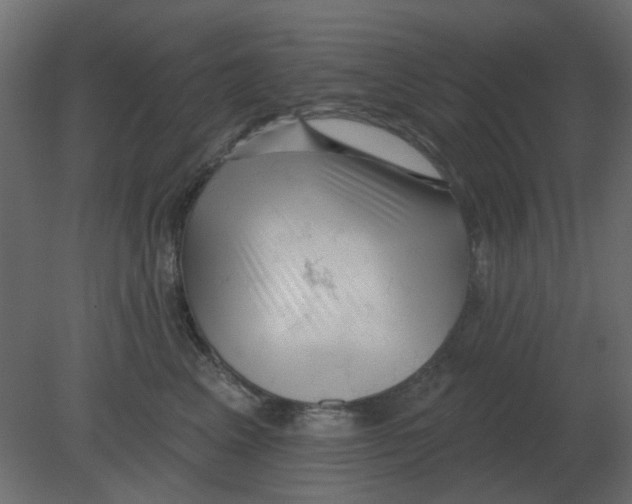 X0000080790617200701122149