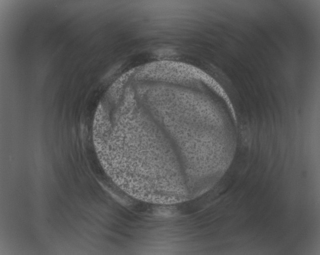 X0000080790618200701122149