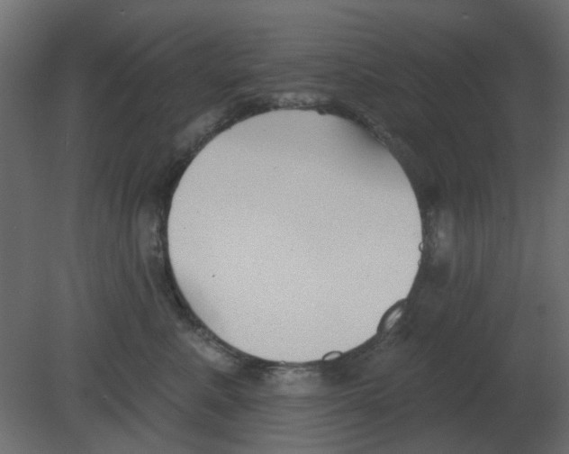 X0000080790619200701122149