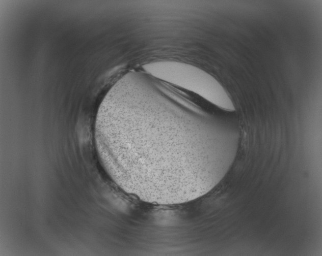 X0000080790620200701122149