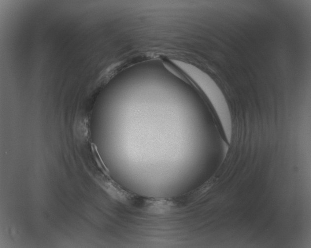 X0000080790621200701122149