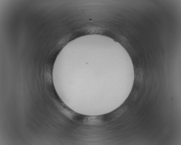 X0000080790622200701122149