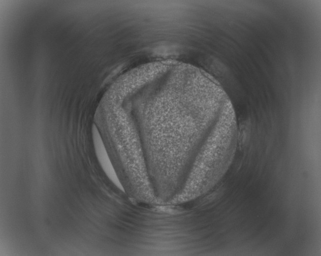 X0000080790623200701122149