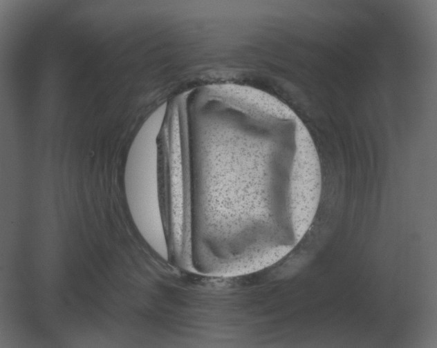 X0000080790624200701122149