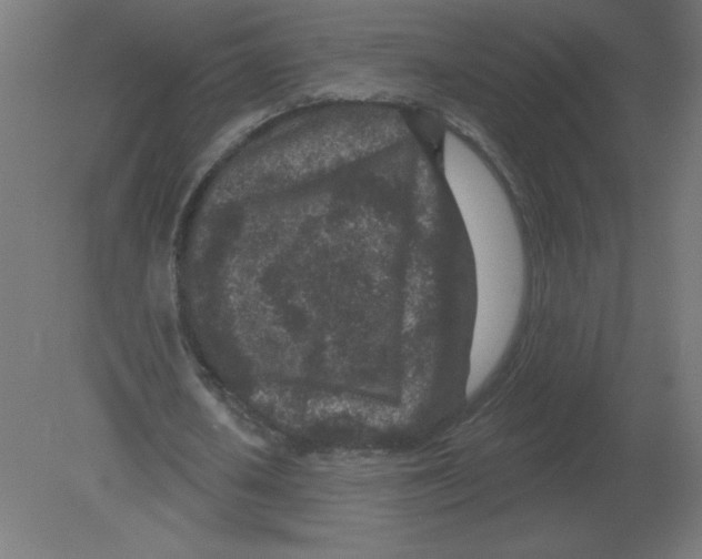 X0000080790626200701122148