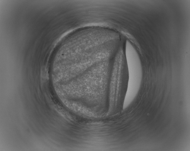 X0000080790628200701122148