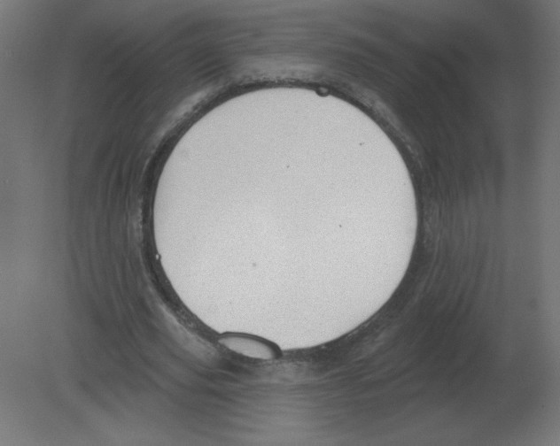 X0000080790629200701122148