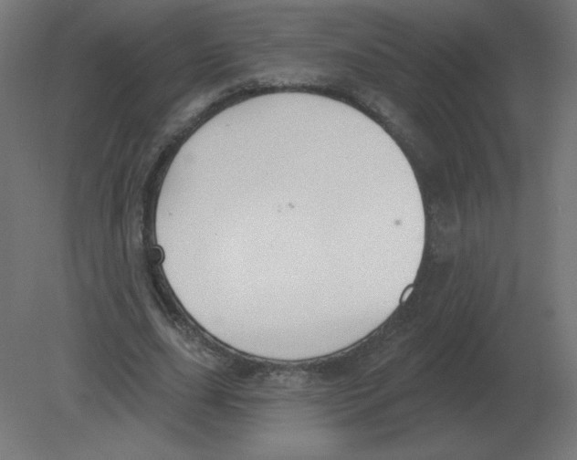 X0000080790631200701122148