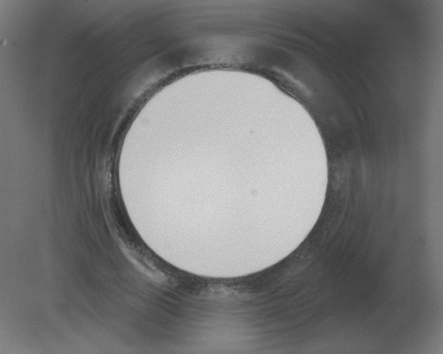 X0000080790632200701122148