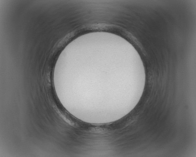 X0000080790633200701122148