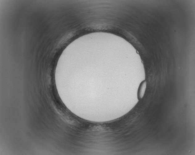 X0000080790635200701122149