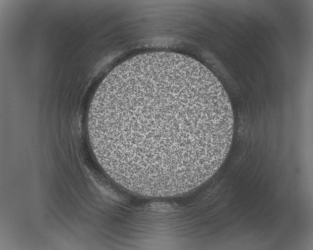 X0000080790636200701122149