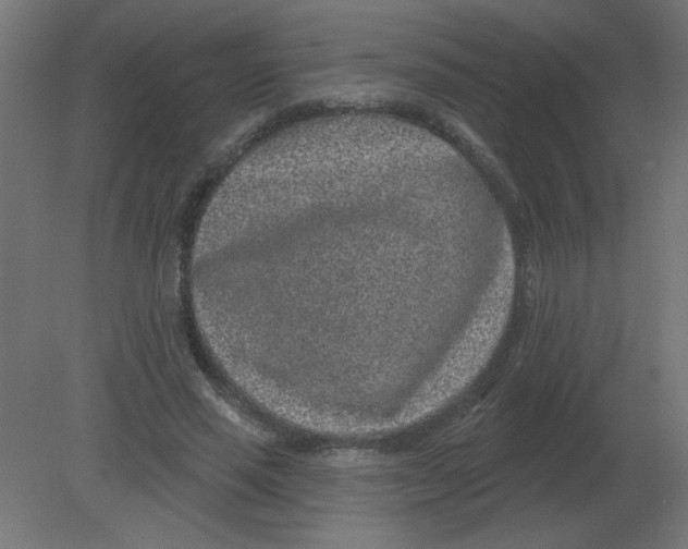 X0000080790637200701122149