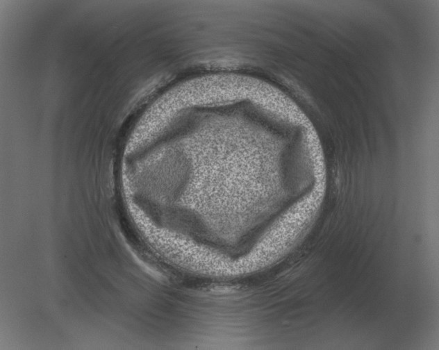 X0000080790638200701122149