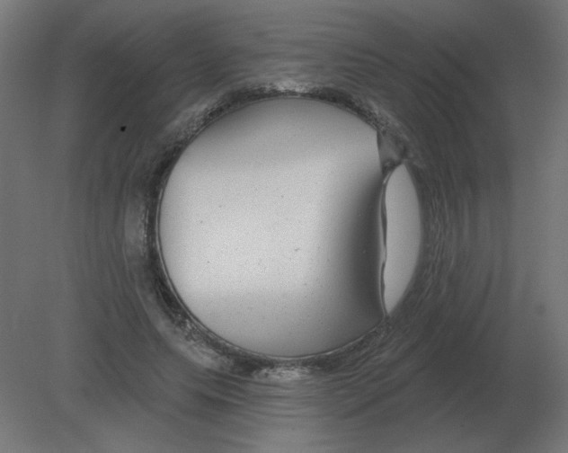 X0000080790639200701122149