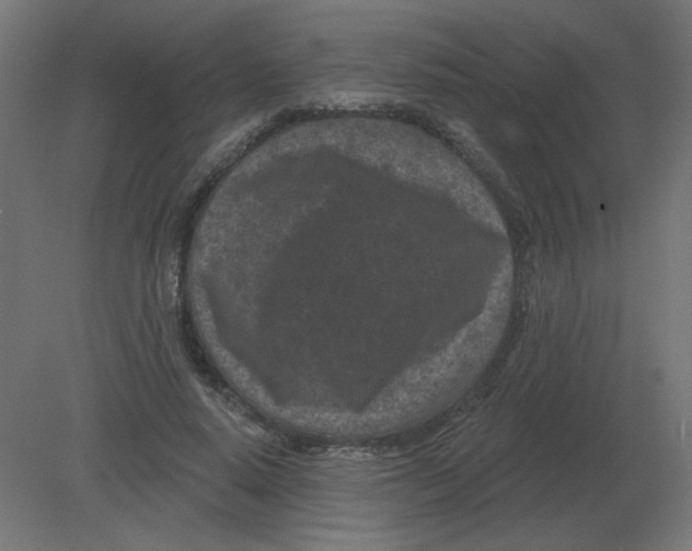 X0000080790640200701122149