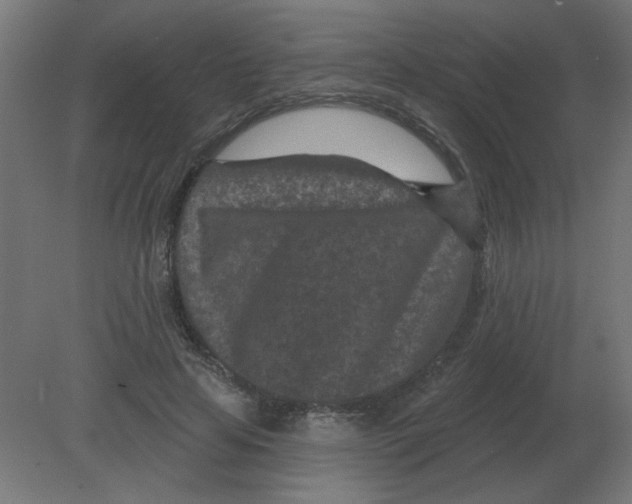 X0000080790641200701122149