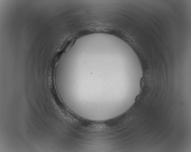 X0000080790642200701122149