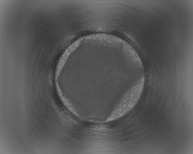 X0000080790643200701122149