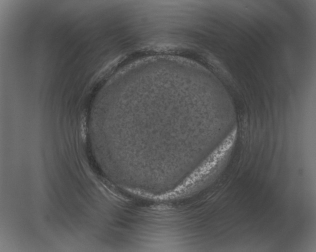 X0000080790644200701122149