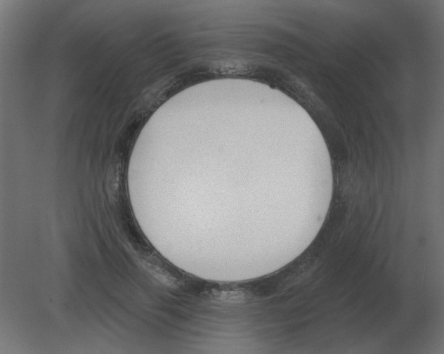 X0000080790645200701122149