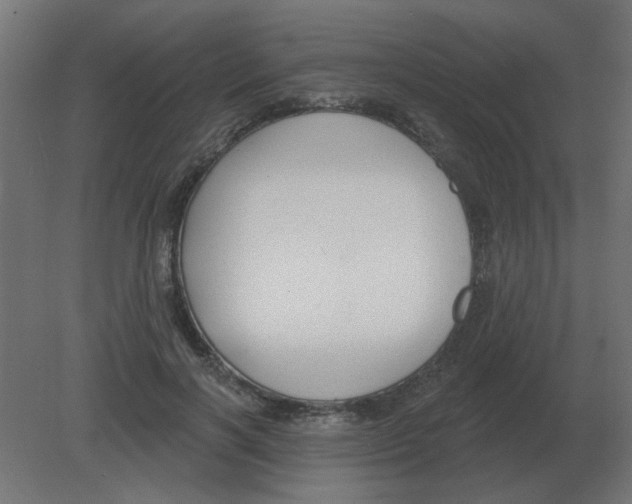 X0000080790646200701122149