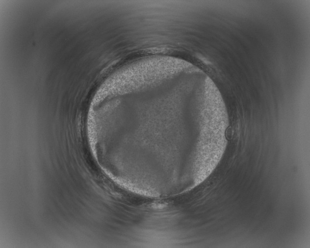 X0000080790647200701122149