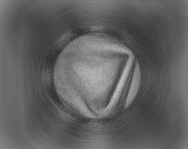 X0000080790648200701122149