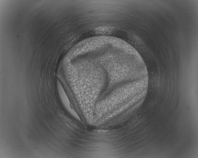 X0000080790649200701122149