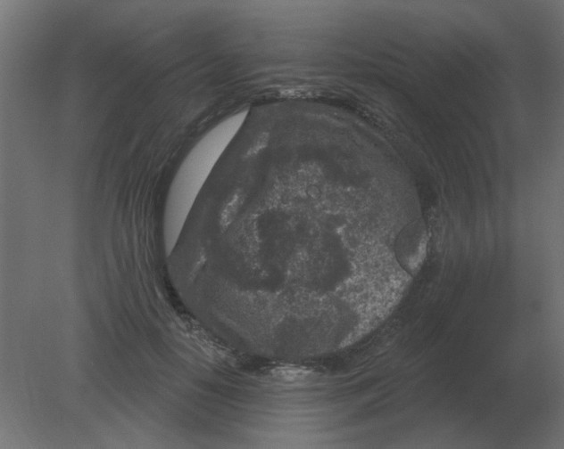 X0000080790650200701122149