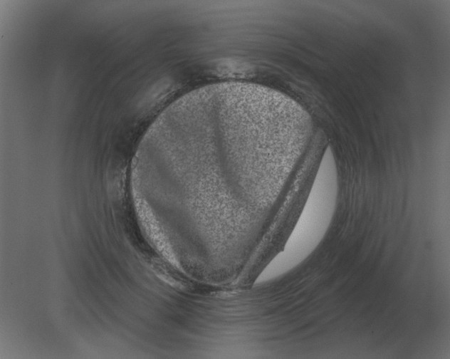 X0000080790652200701122149