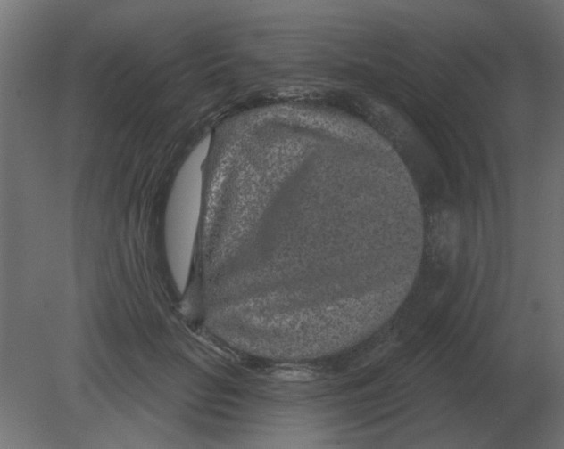 X0000080790653200701122149