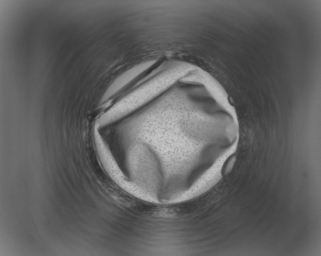 X0000080790656200701122149