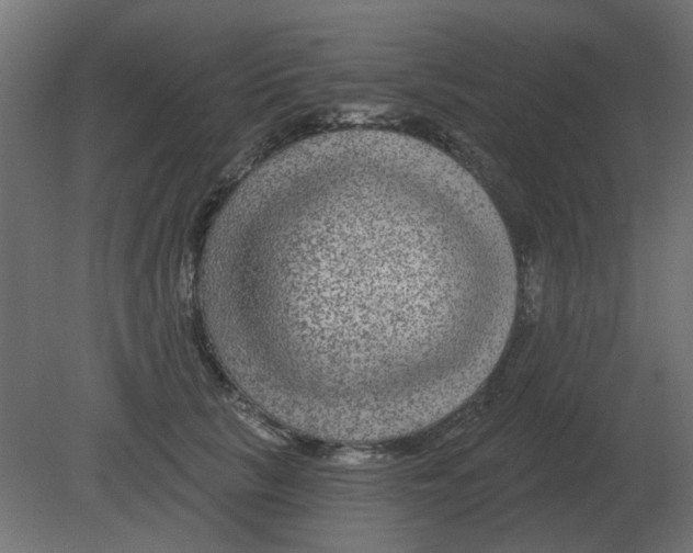 X0000080790657200701122149