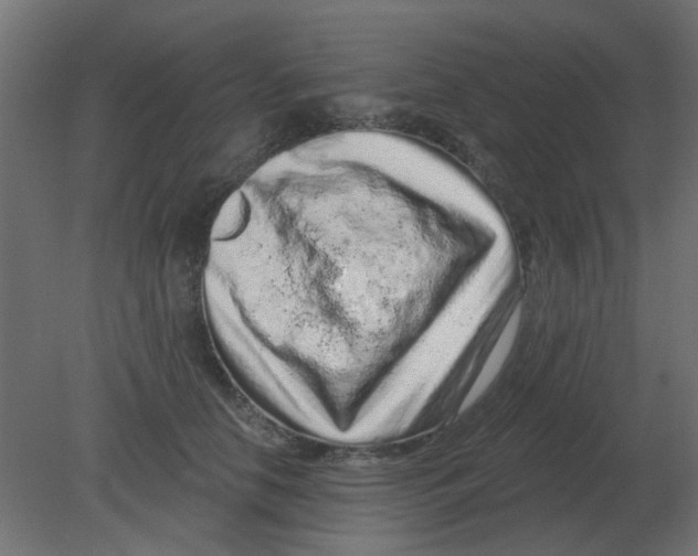 X0000080790658200701122149