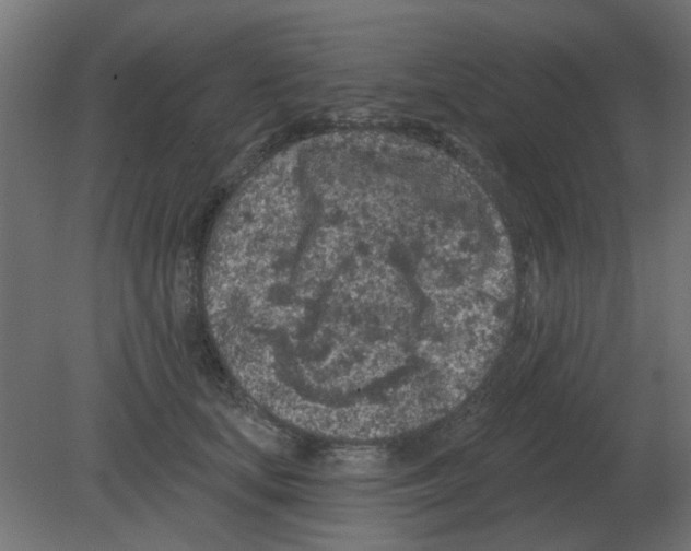 X0000080790659200701122149