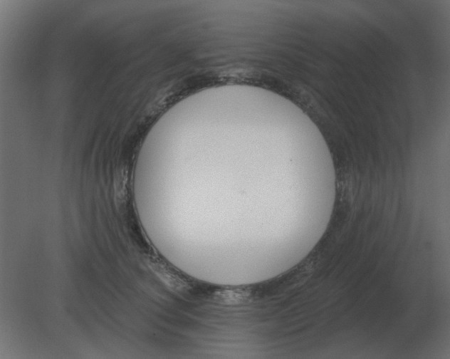 X0000080790660200701122149