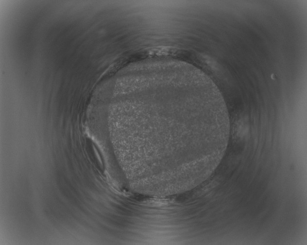 X0000080790661200701122149