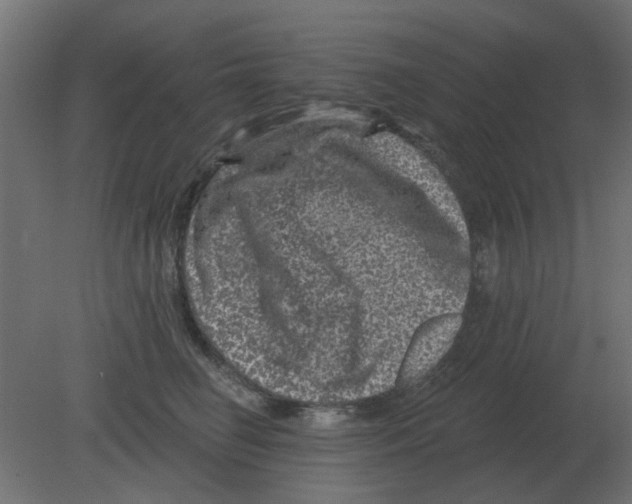 X0000080790662200701122149