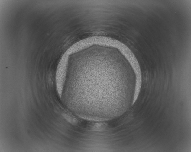 X0000080790663200701122149