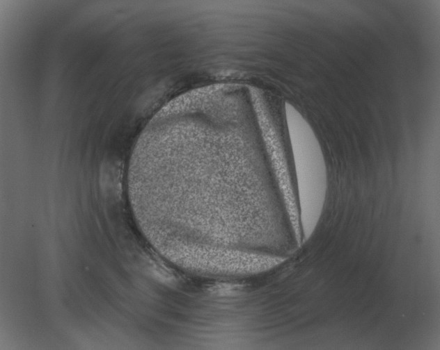 X0000080790664200701122149