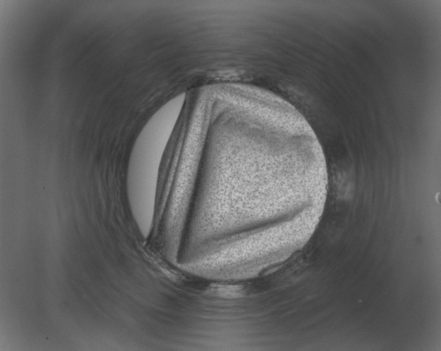 X0000080790665200701122149