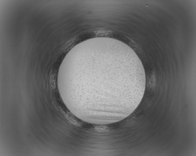 X0000080790666200701122149